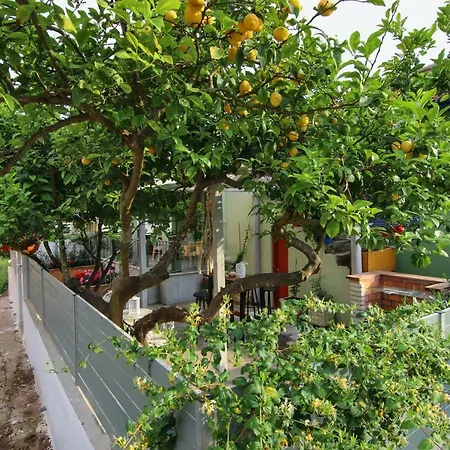 Annapa City House * Lefkáda